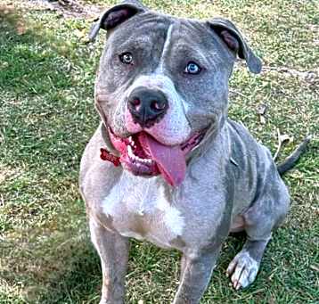 Photo of Goliath (0C000-525)-Chino Hills Location