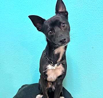 Photo of Sosuke