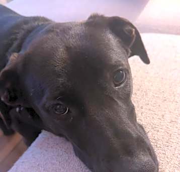Photo of Oakley