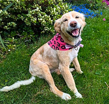 Photo of Rosie