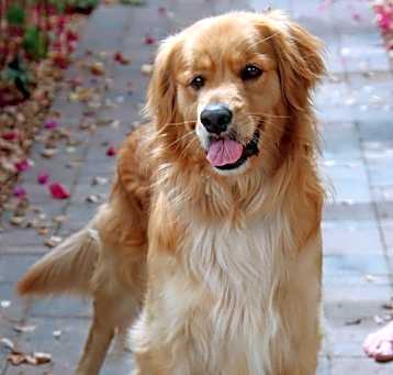 Photo of Max