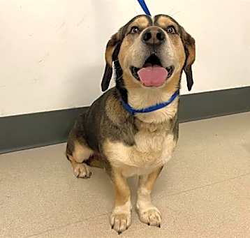 Photo of ROCKO
