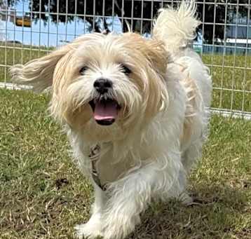 Photo of Rosita