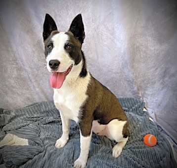 Photo of TERRA