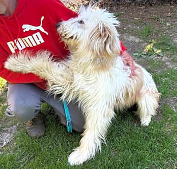 Photo of Fluffy