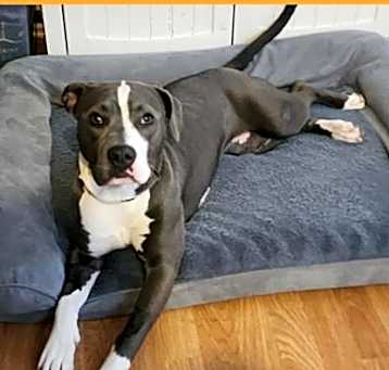 Photo of Jillian