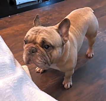 Photo of Jack