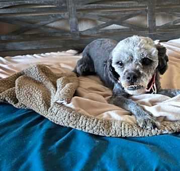 Photo of Peggy