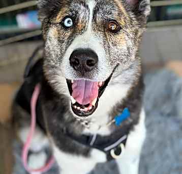 Photo of Xena