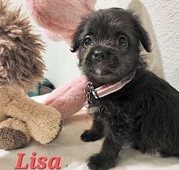 Photo of Lisa