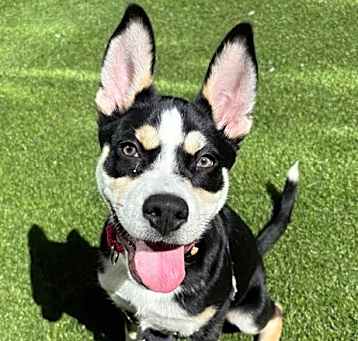 Photo of POLO
