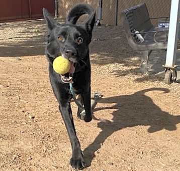Photo of CHASE