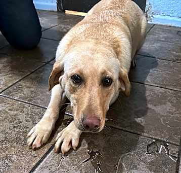 Photo of Maggie