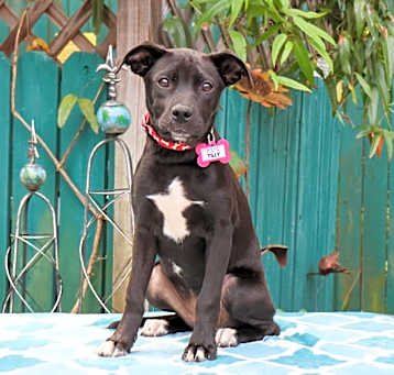 Photo of Tilly