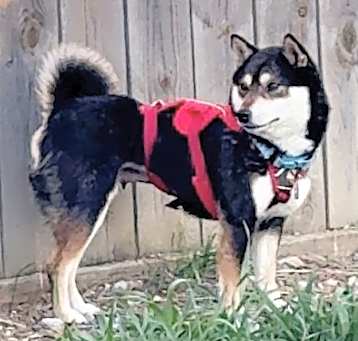 Photo of Amara