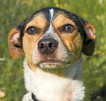 Photo of HONEY