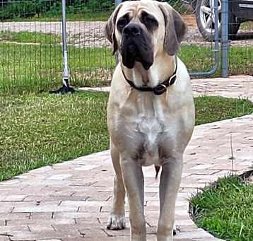 Photo of Lucy