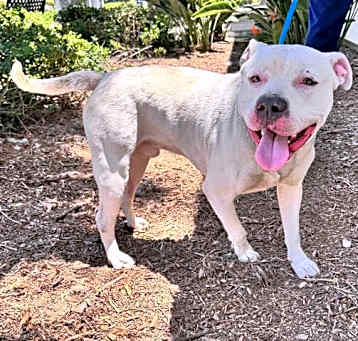 Photo of CASPER