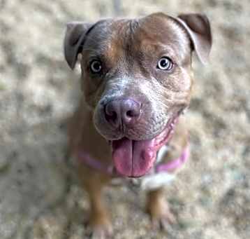 Photo of Zuzu