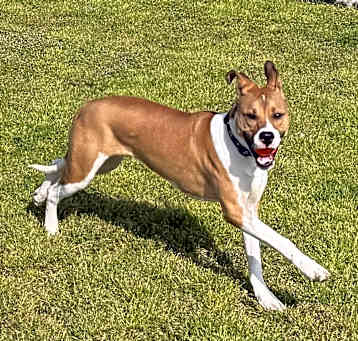 Photo of Dudu