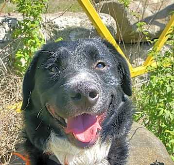 Photo of Hamish