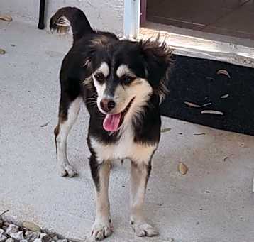 Photo of Susi