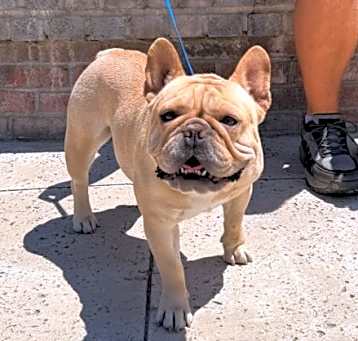 Photo of Junebug