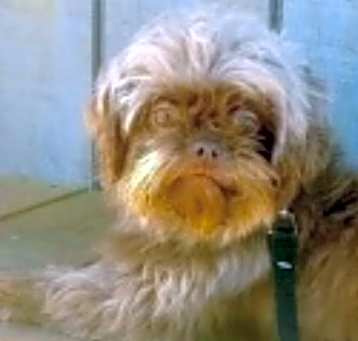 Photo of Fergie
