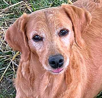 Photo of Olivia 
