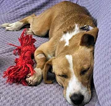 Photo of Tracy