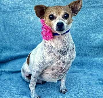 Photo of Shirley