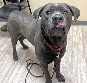 Photo of Jumbo Jack
