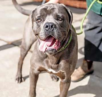 Photo of Odin