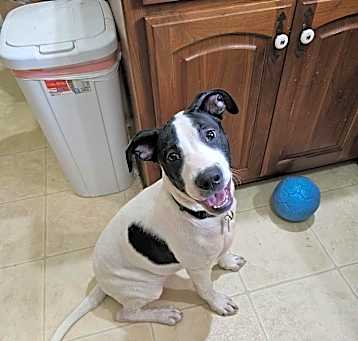Photo of Zeb