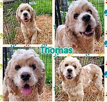 Photo of Thomas