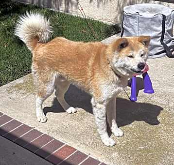 Photo of Fujiko