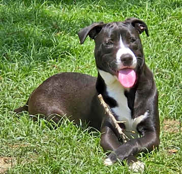 Photo of Sammy