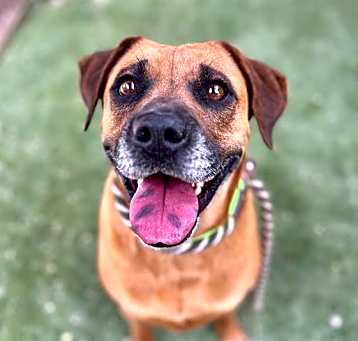 Photo of LAYLA