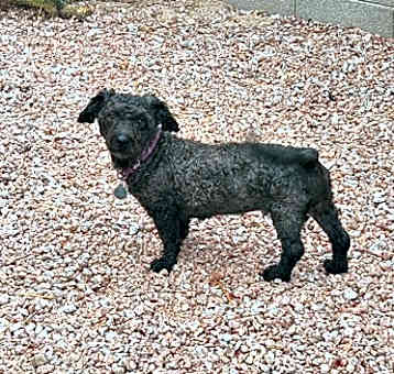 Photo of Gina