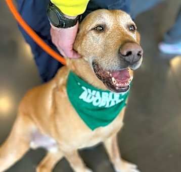 Photo of DUKE