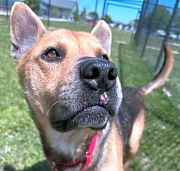 Photo of Doobie