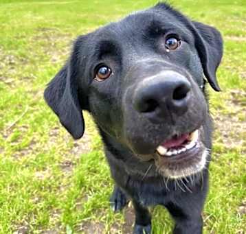 Photo of Rookie