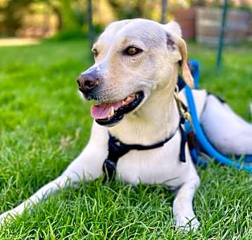Photo of Sasha