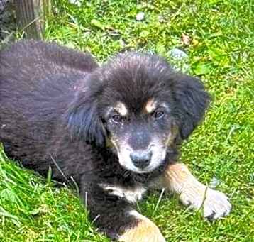 Photo of Baby Nutella
