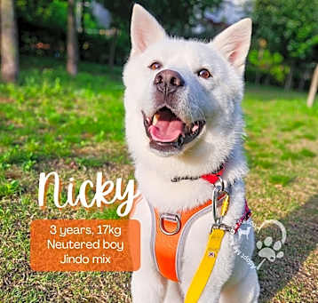 Photo of Nicky