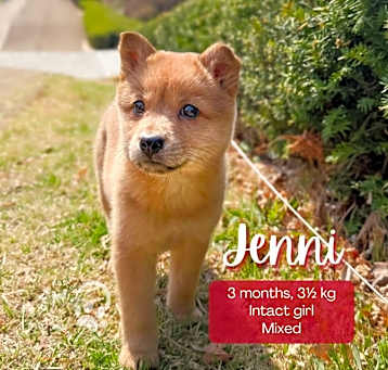 Photo of Jenni