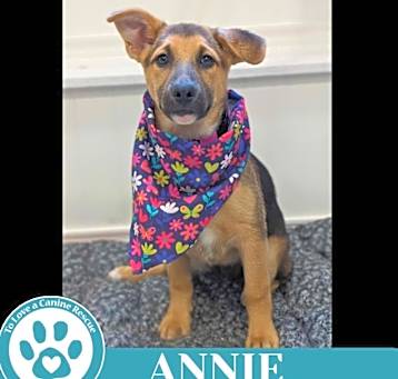 Photo of Annie (A-Listers) 051025