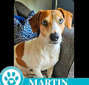 Photo of Martin 051025