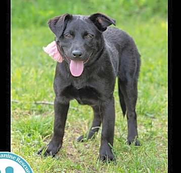 Photo of Reese (Cocoa Crew) 051025