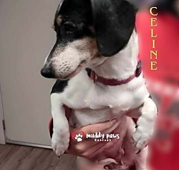 Photo of Celine FKA Selene